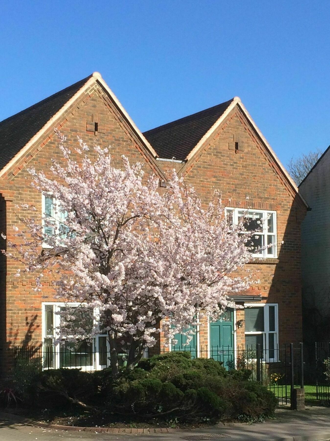 3 Summertown Court Оксфорд Екстериор снимка